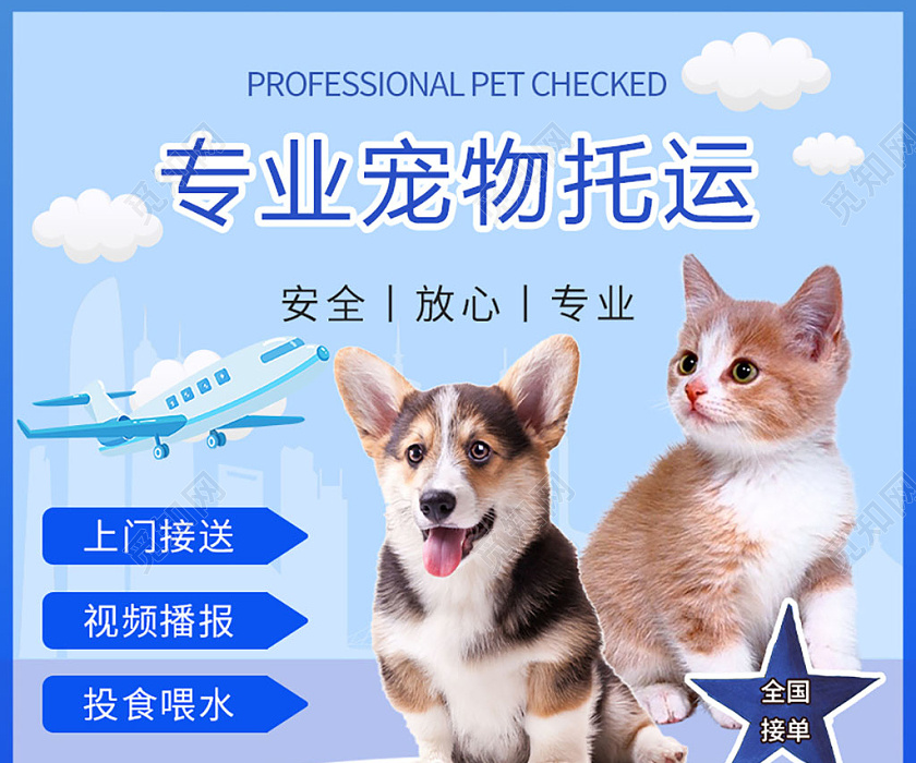 藍(lán)色幾何寵物專業(yè)寵物托運(yùn)宣傳主圖 | 寵物服務(wù)主圖