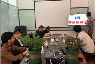 項(xiàng)目申報(bào)、財(cái)稅審計(jì)及信息技術(shù)與融資咨詢(xún)?nèi)轿唤馕? class=